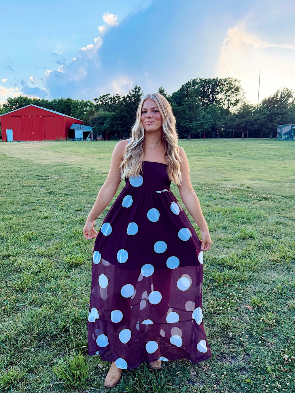 Prairie Dot Dress