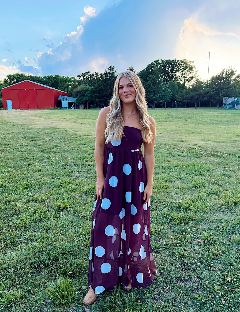 Prairie Dot Dress